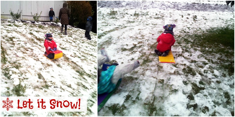 Final Sledding Collage