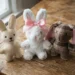 Diy Bitty Bunnies