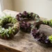 Diy Wine Barrel Ring Succulent Wreath