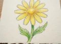 Easy Flower Drawings For Kids