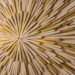 Popsicle Wall Art Ideas