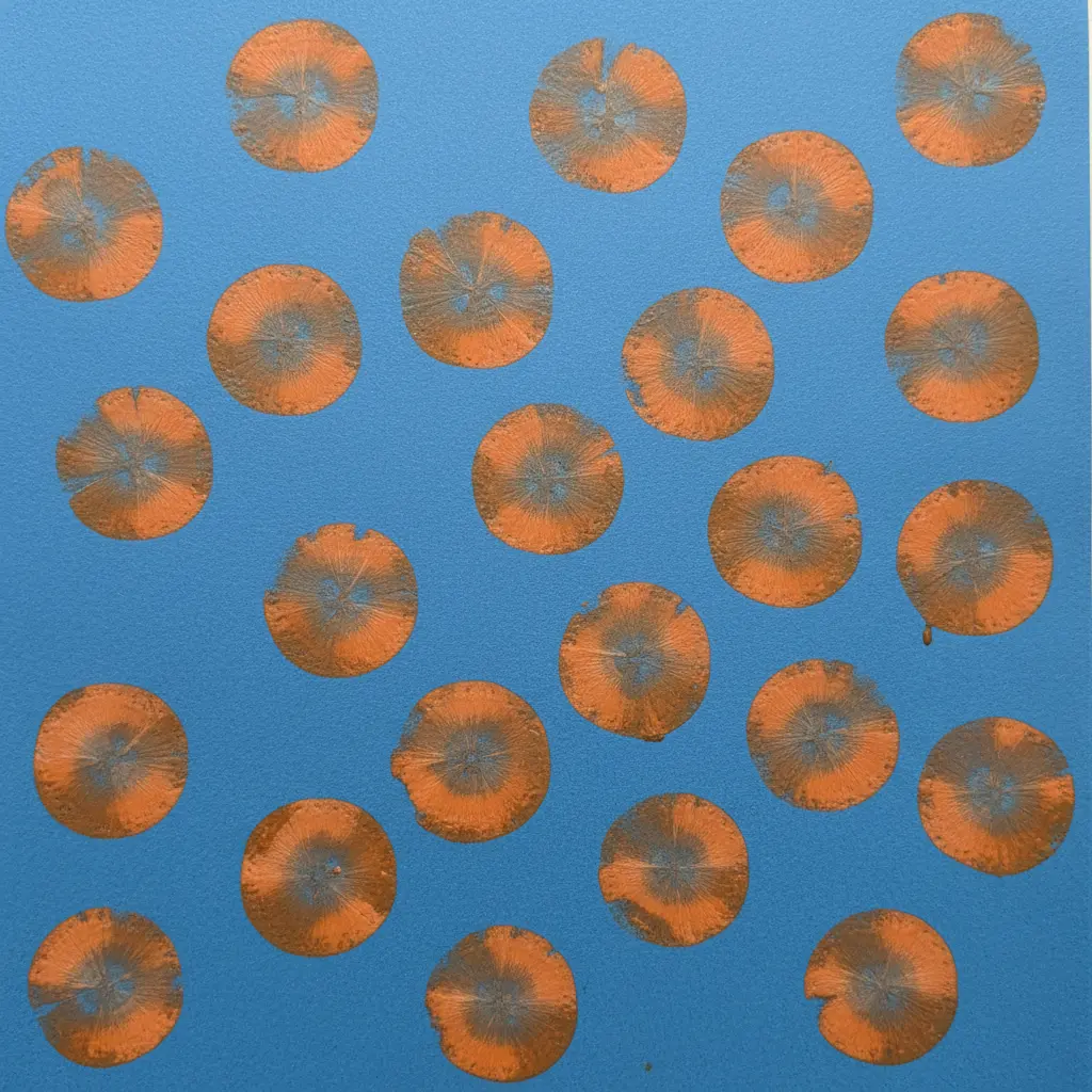 Round carrot slices pressed in orange tempera on blue paper, creating scattered polka dot marks with light centers.