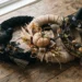 Wine Barrel Halloween Wreath Ideas